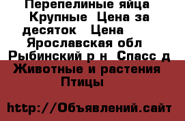 Перепелиные яйца. Крупные. Цена за десяток › Цена ­ 40 - Ярославская обл., Рыбинский р-н, Спасс д. Животные и растения » Птицы   